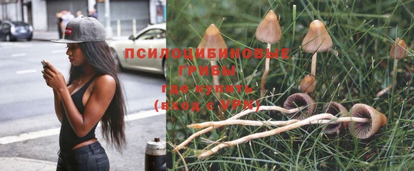 наркотики Арсеньев