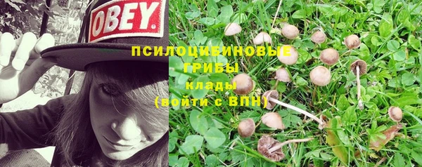 герыч Аркадак