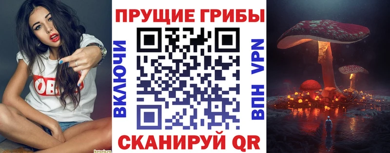 Галлюциногенные грибы мухоморы  Новопавловск 